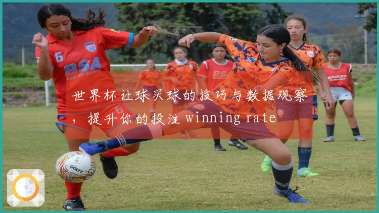 世界杯让球买球的技巧与数据观察，提升你的投注 winning rate