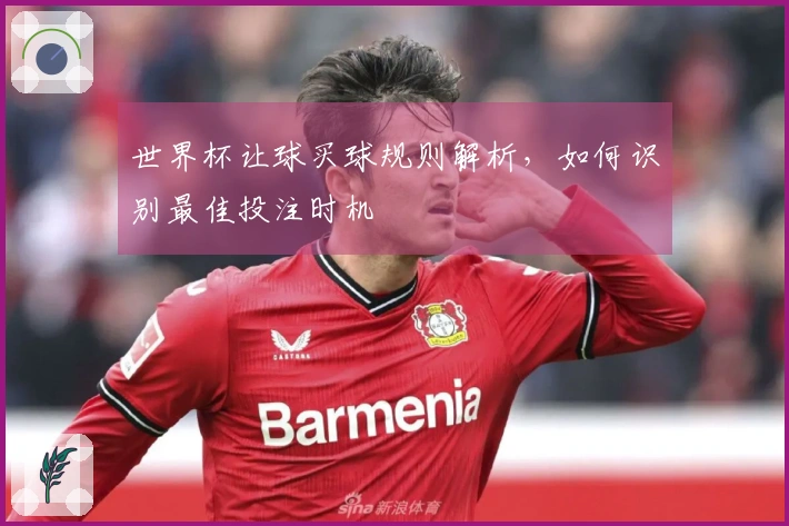 世界杯让球买球规则解析，如何识别最佳投注时机