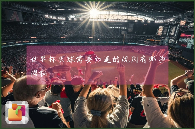 世界杯买球需要知道的规则有哪些揭秘