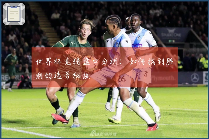 世界杯竞猜盘口分析：如何找到胜利的选号秘诀