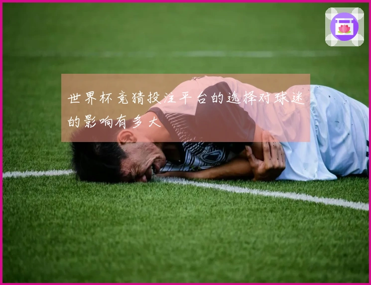 世界杯竞猜投注平台的选择对球迷的影响有多大