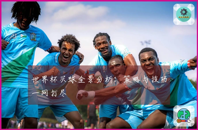 世界杯买球全景分析：策略与技巧一网打尽