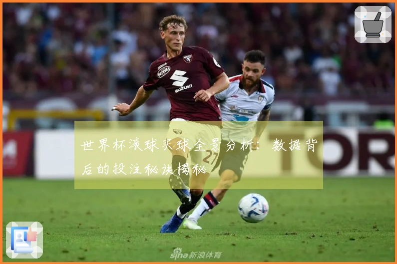 世界杯滚球买球全景分析：数据背后的投注秘诀揭秘